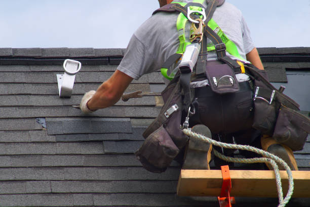 Best Roof Gutter Cleaning  in Gladstone, MI